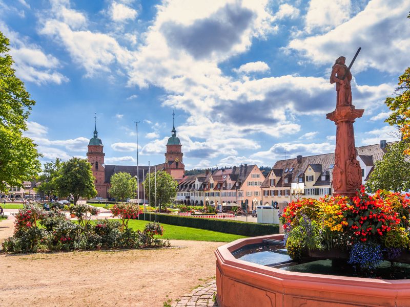 Busreise Chrysanthema in Lahr - Farbenfrohes Blütenmeer: Freudenstadt