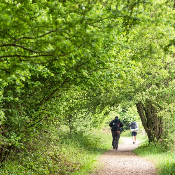 Wandern auf dem Jakobsweg