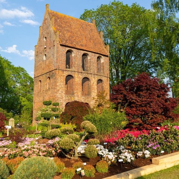 Busreise Willkommen zur Rhododendronschau - Westerstede