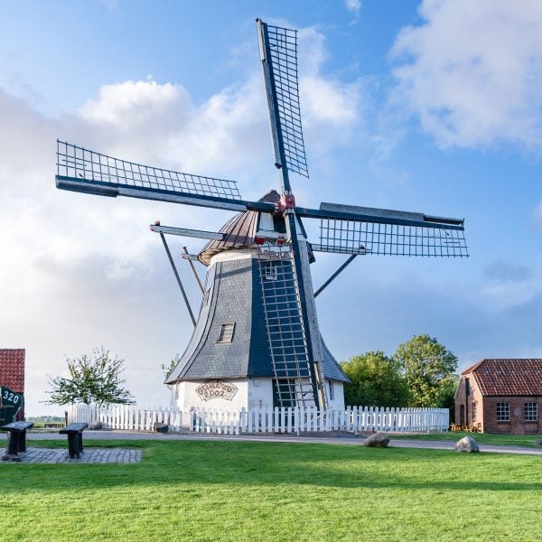 Busreise Willkommen zur Rhododendronschau - Ostfriesische Windmühle