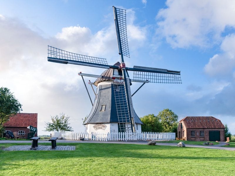 Busreise Willkommen zur Rhododendronschau - Ostfriesische Windmühle