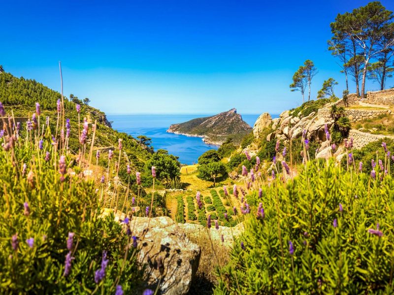 Die schönsten Wanderungen Mallorcas