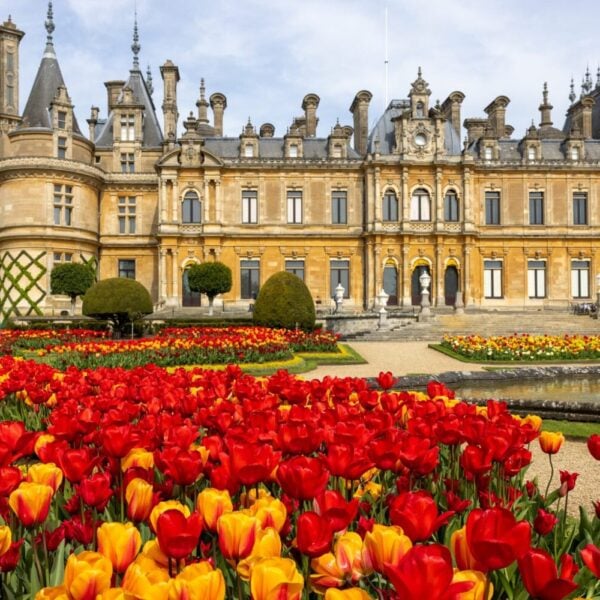 Busreise Das Bilderbuch im Herzen Englands - Waddesdon Manor in Buckinghamshire