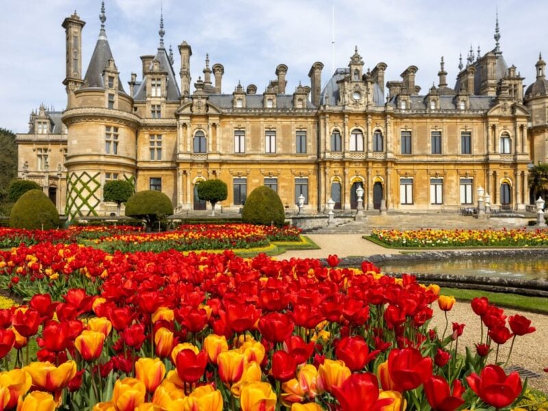 Busreise Das Bilderbuch im Herzen Englands - Waddesdon Manor in Buckinghamshire