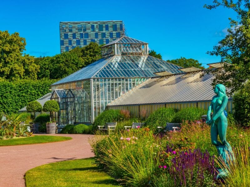 Premiumgartenreise Schweden - Botanischer Garten in Göteborg