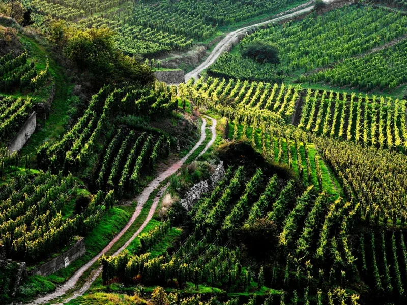 Erlebnis Elsass & Vogesen