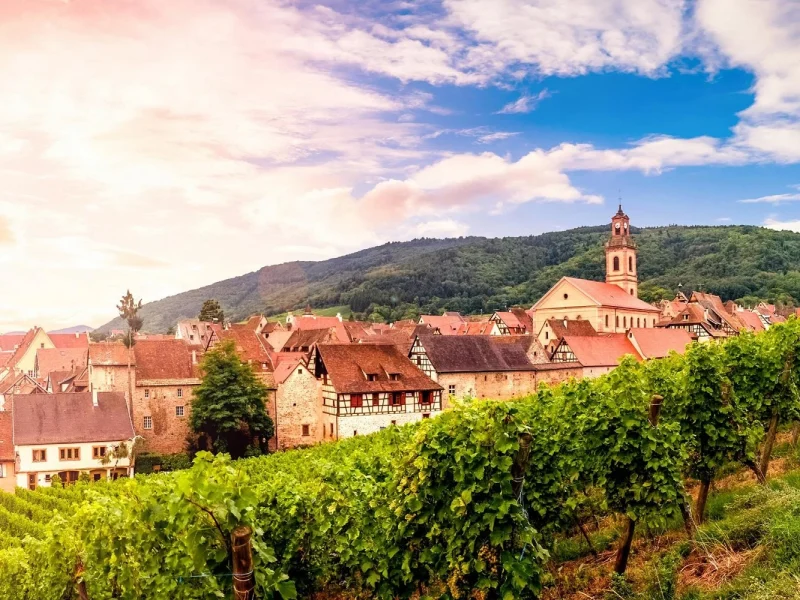 Erlebnis Elsass & Vogesen: Vogesen