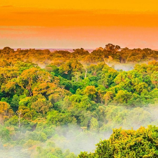 Brasilien: Land der Kontraste: Amazonas