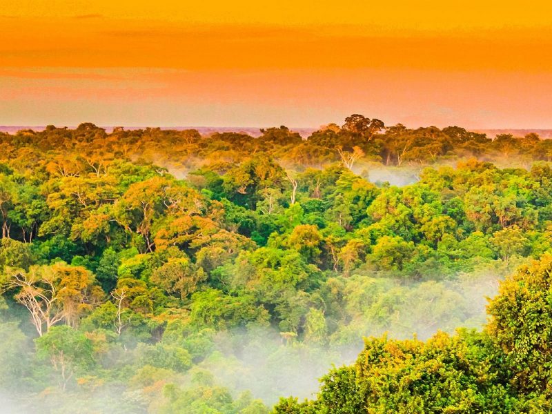 Brasilien: Land der Kontraste: Amazonas
