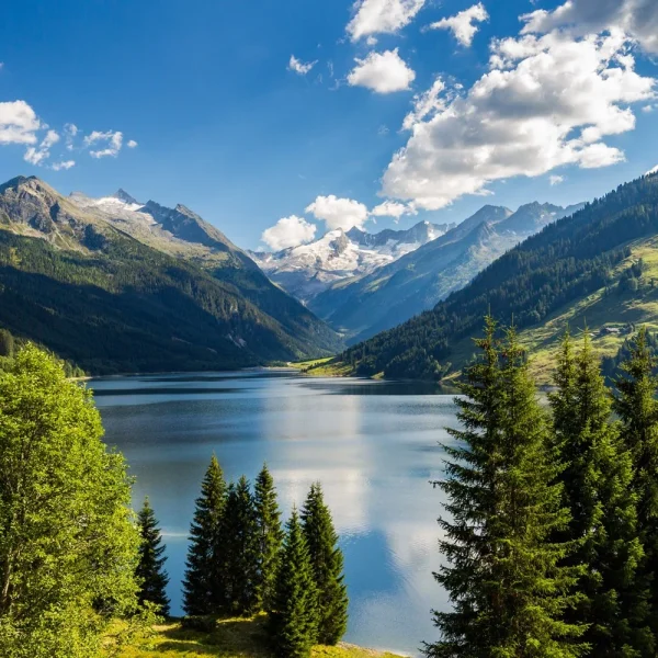 Busreise Almabtrieb in Tirol
