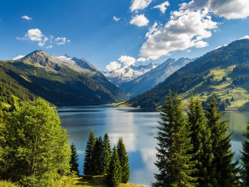 Busreise Almabtrieb in Tirol