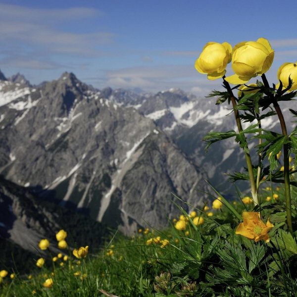 Wanderreise durch das Tiroler Lechtal
