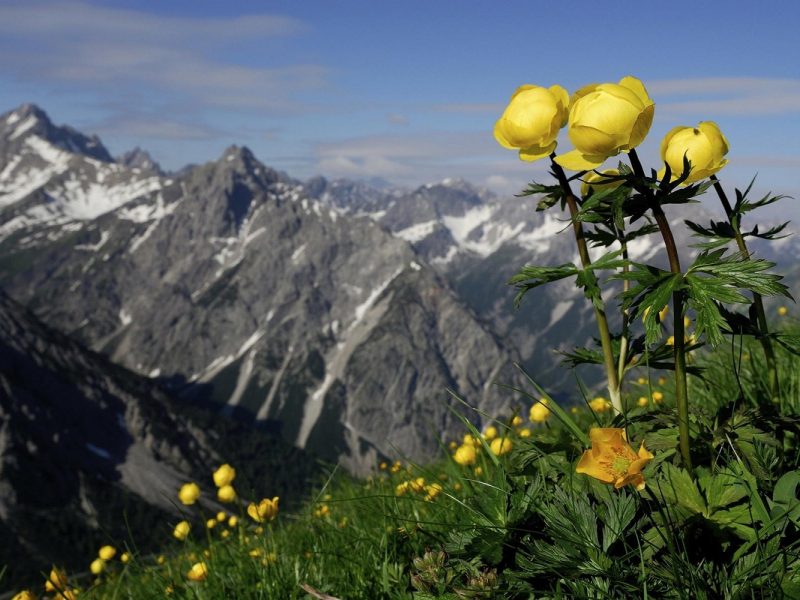Wanderreise durch das Tiroler Lechtal