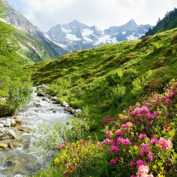 Busreise Wandern in Kärnten