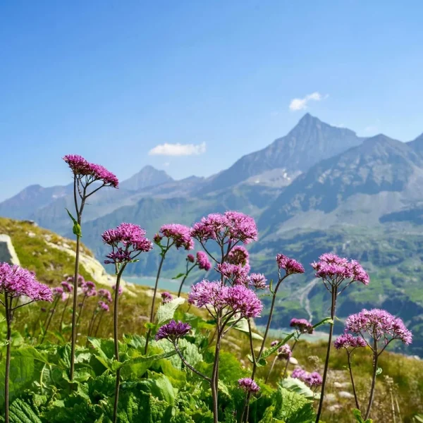 Busreise Wandern in Kärnten