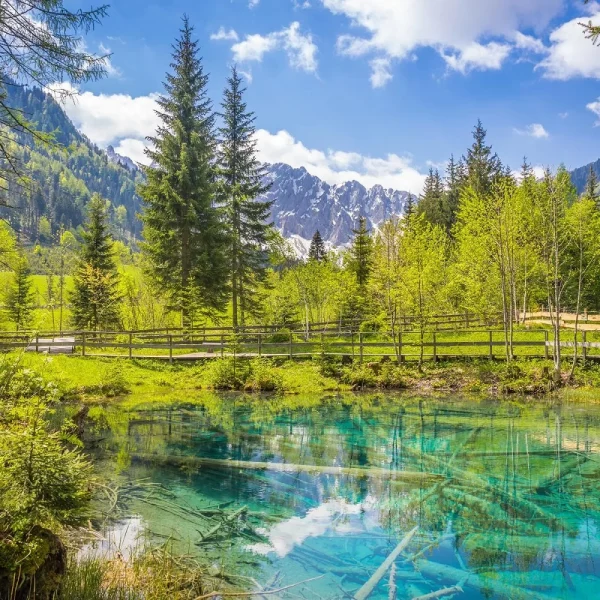 Busreise Wandern in Kärnten