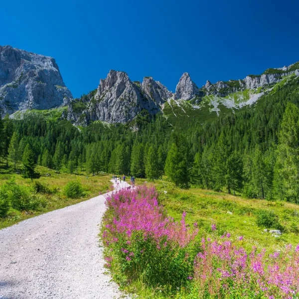 Busreise Wandern in Kärnten