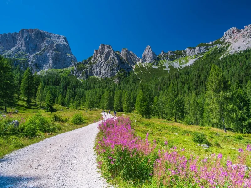 Busreise Wandern in Kärnten