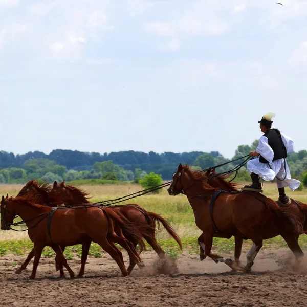 Busreise Ungarisches Weltkulturerbe