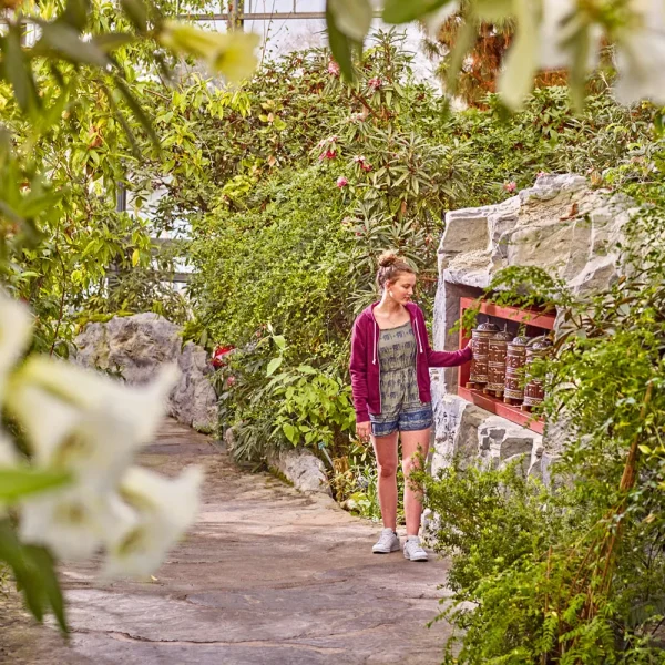 Botanika in Bremen © Marcus Meyer - botanika