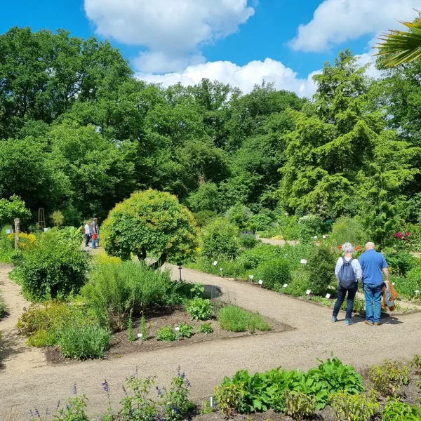 Alter Park © Stiftung Bremer Rhododendronpark
