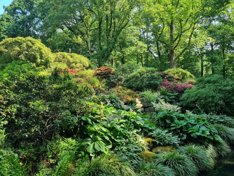 Botanischer Garten Alpinum © Stiftung Bremer Rhododendronpark