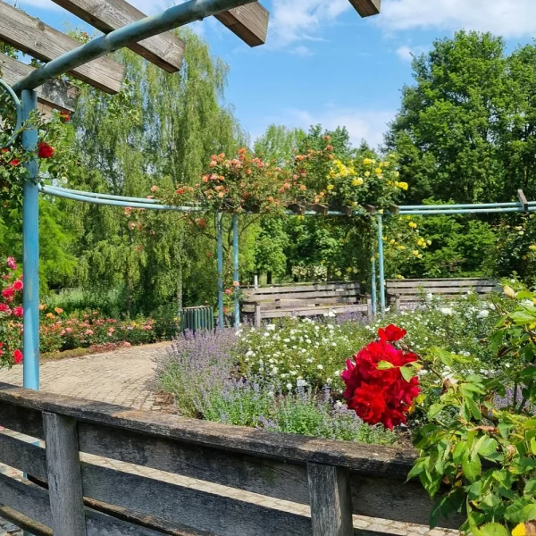 Bremer Rosengarten © Stiftung Bremer Rhododendronpark