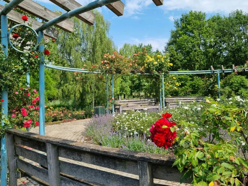 Bremer Rosengarten © Stiftung Bremer Rhododendronpark