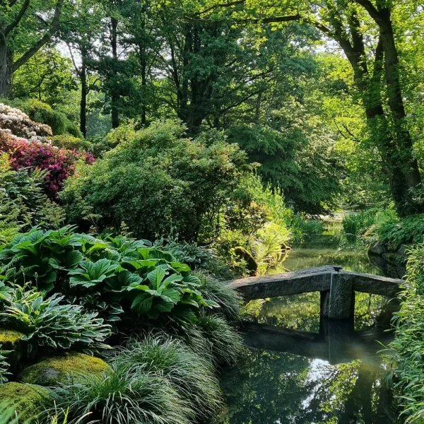 Wasserlauf im Botanischen Garten © Stiftung Bremer Rhododendronpark