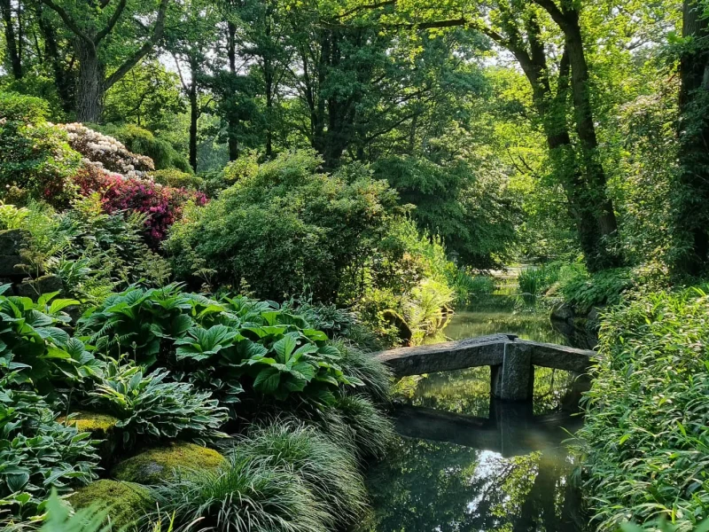 Wasserlauf im Botanischen Garten © Stiftung Bremer Rhododendronpark