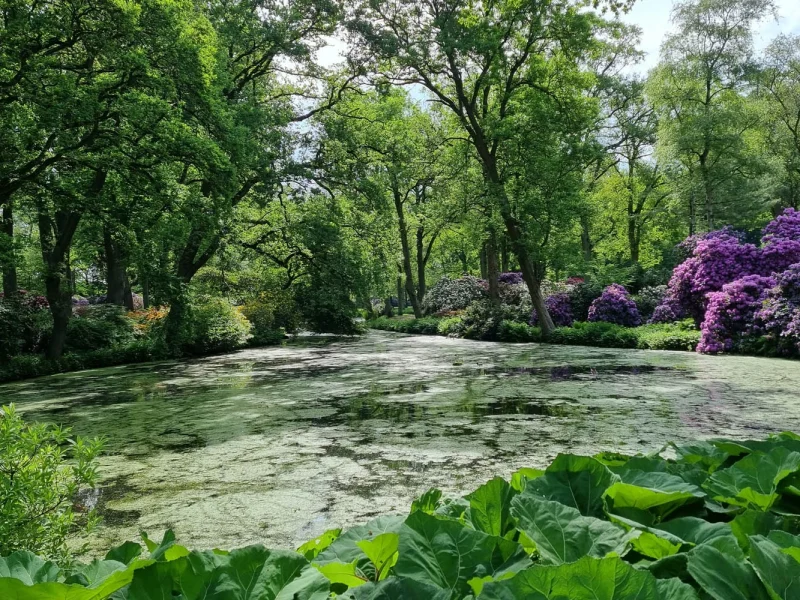 Alter Park © Stiftung Bremer Rhododendronpark