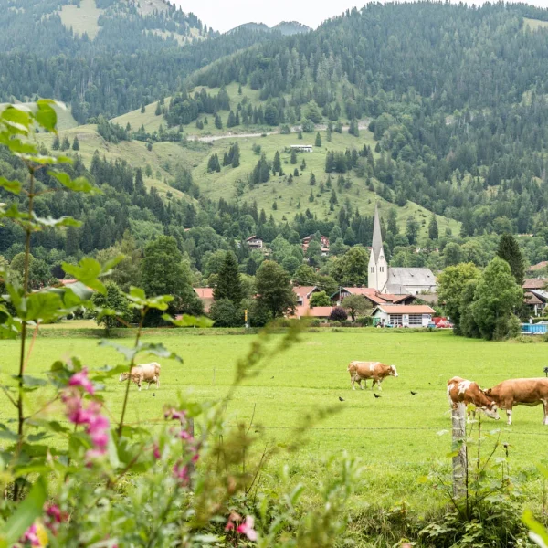 Busreise Fernsehmomente in traumhafter Kulisse - Romantische Kulisse in Bayrischzell