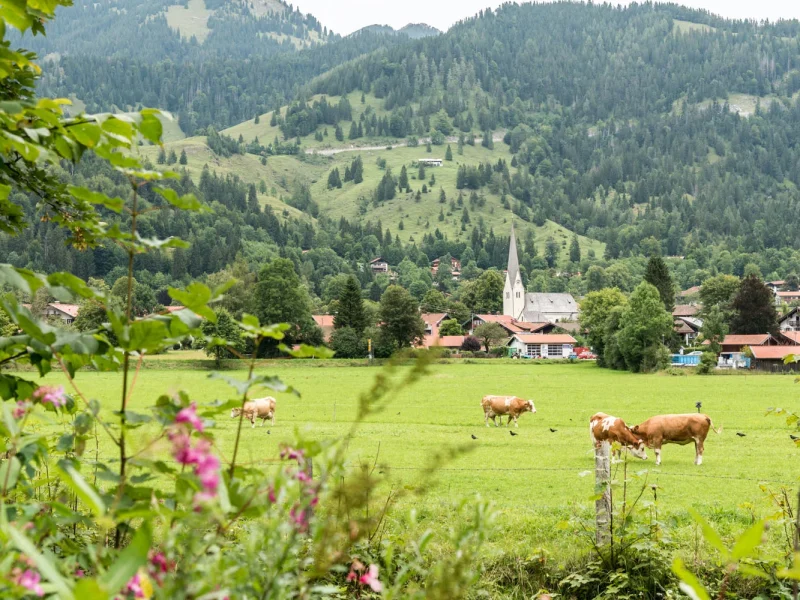 Busreise Fernsehmomente in traumhafter Kulisse - Romantische Kulisse in Bayrischzell