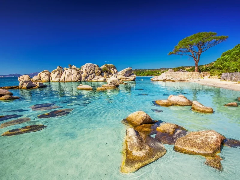 Busreise Korsika & Sardinien: Korsika