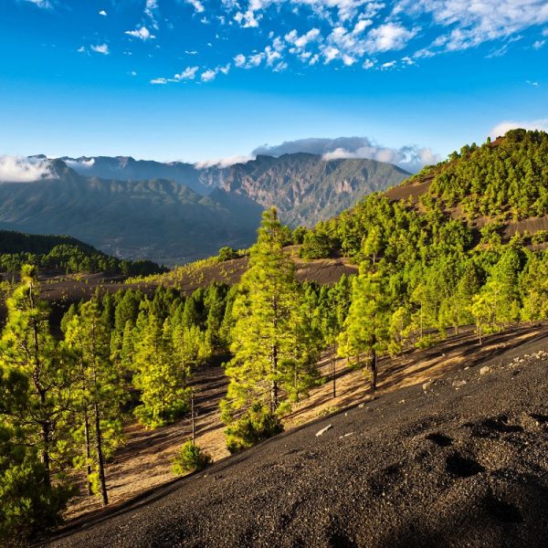Sonnige Aussichten mit Kurs auf die Kanaren mit MS Amadea: La Palma