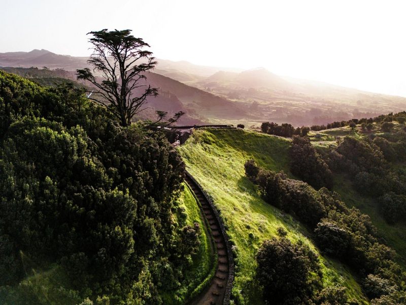Sonnige Aussichten mit Kurs auf die Kanaren mit MS Amadea: El Hierro