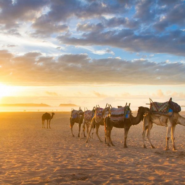 Sonnige Aussichten mit Kurs auf die Kanaren mit MS Amadea: Agadir