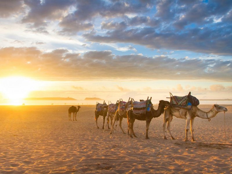 Sonnige Aussichten mit Kurs auf die Kanaren mit MS Amadea: Agadir