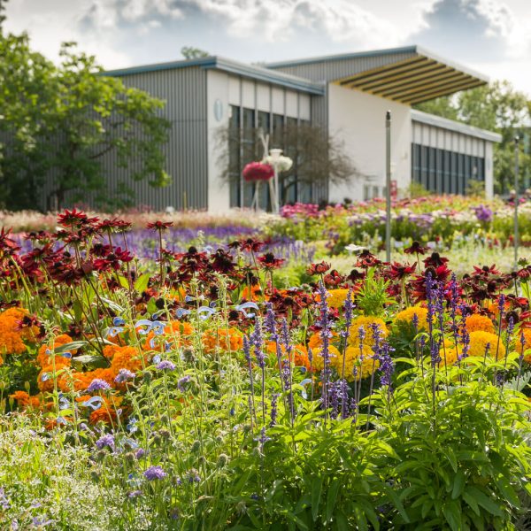 Tagesfahrt egapark in Erfurt - Großes Blumenbeet vor der Halle 1 © egapark Erfurt gGmbH S. Nuernberger