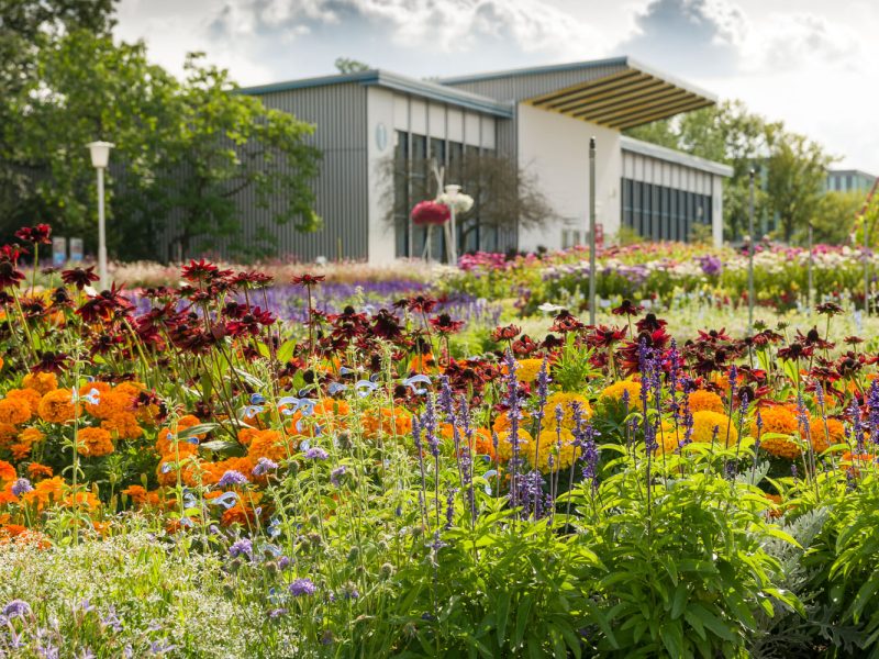 Tagesfahrt egapark in Erfurt - Großes Blumenbeet vor der Halle 1 © egapark Erfurt gGmbH S. Nuernberger