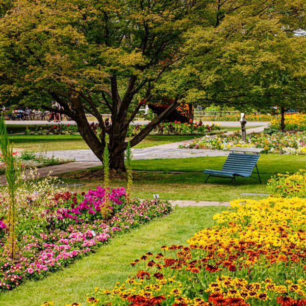 Tagesfahrt egapark in Erfurt - Verweilen Sie im Blumenmeer im egapark © egapark Erfurt gGmbH BUGA 2021