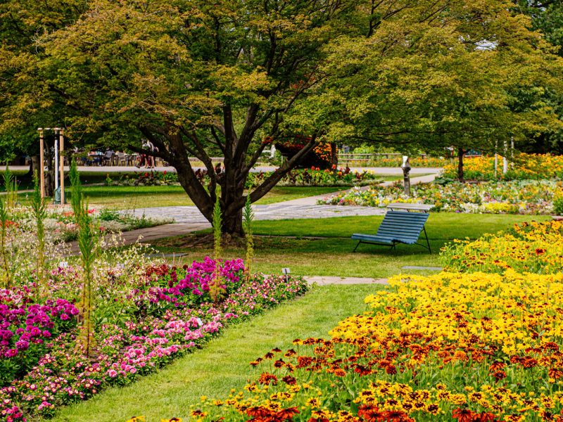 Tagesfahrt egapark in Erfurt - Verweilen Sie im Blumenmeer im egapark © egapark Erfurt gGmbH BUGA 2021