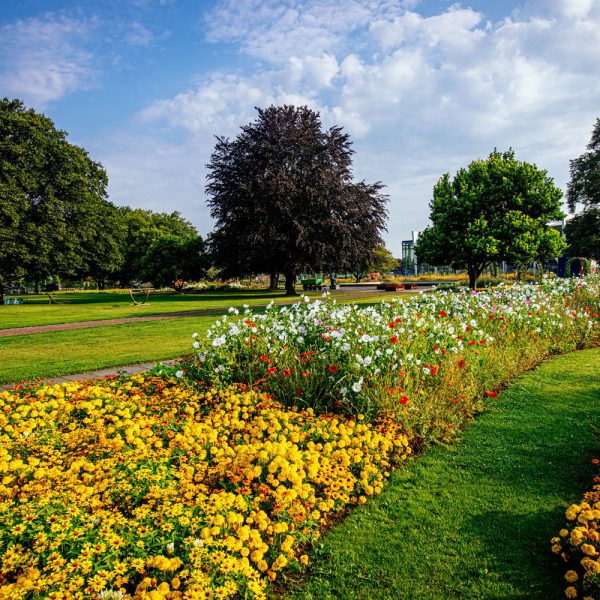 Tagesfahrt egapark in Erfurt - Blühstreifen im egapark © egapark Erfurt gGmbH BUGA 2021