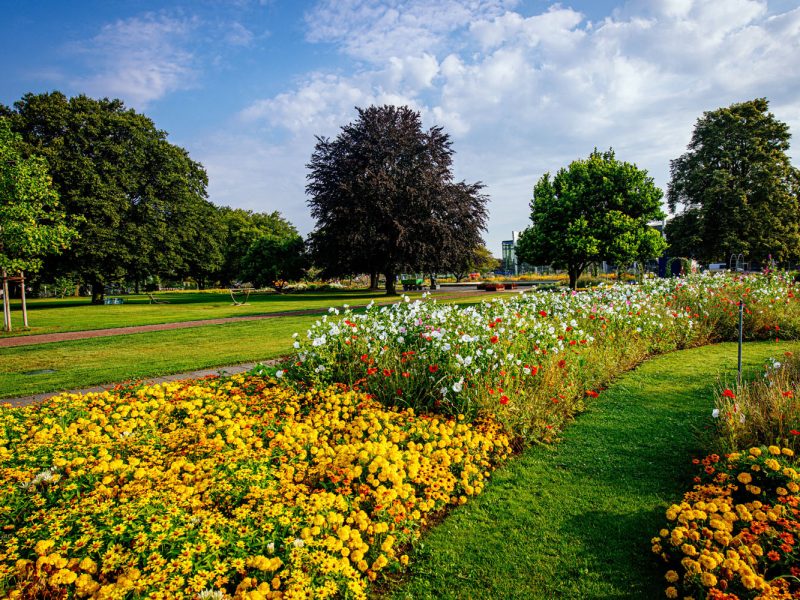 Tagesfahrt egapark in Erfurt - Blühstreifen im egapark © egapark Erfurt gGmbH BUGA 2021