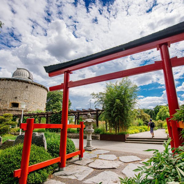 Tagesfahrt egapark in Erfurt - Sternwarteturm und Eingang zum Japanischen Garten © egapark Erfurt gGmbH BUGA 2021