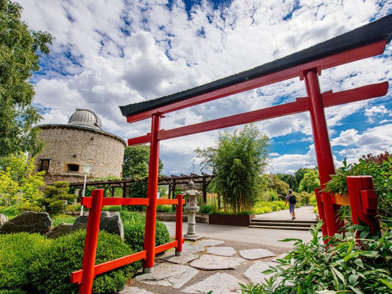 Tagesfahrt egapark in Erfurt - Sternwarteturm und Eingang zum Japanischen Garten © egapark Erfurt gGmbH BUGA 2021