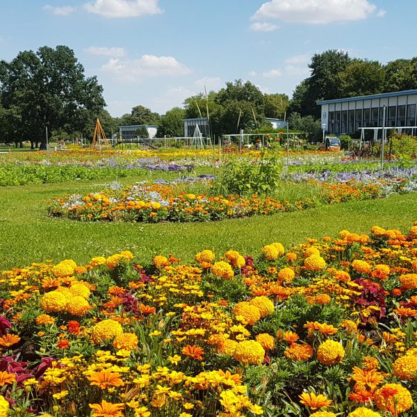 Tagesfahrt egapark in Erfurt - Großes Blumenbeet © egapark Erfurt gGmbH BUGA 2021