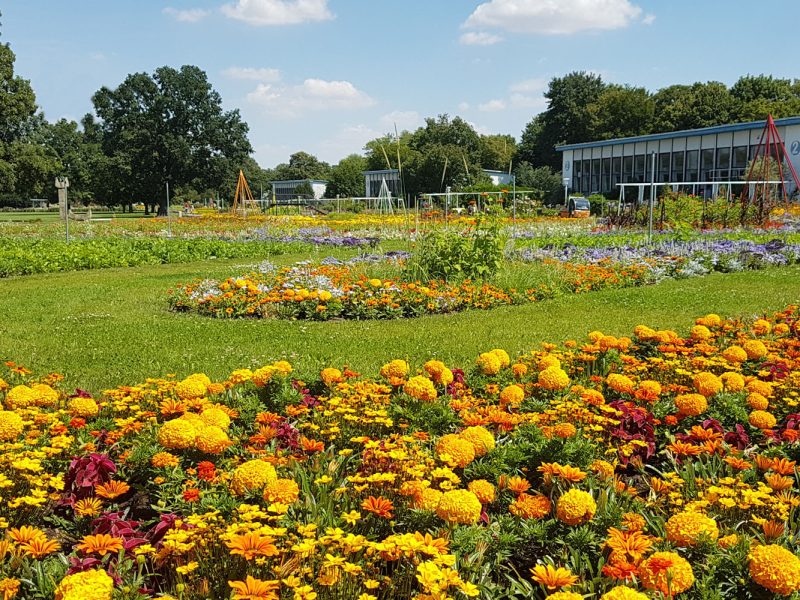 Tagesfahrt egapark in Erfurt - Großes Blumenbeet © egapark Erfurt gGmbH BUGA 2021