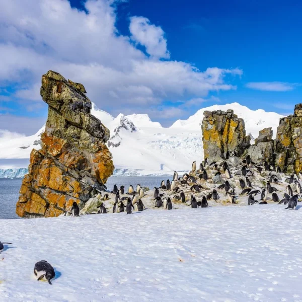 Busreise Polarlichter im winterlichen Schottland