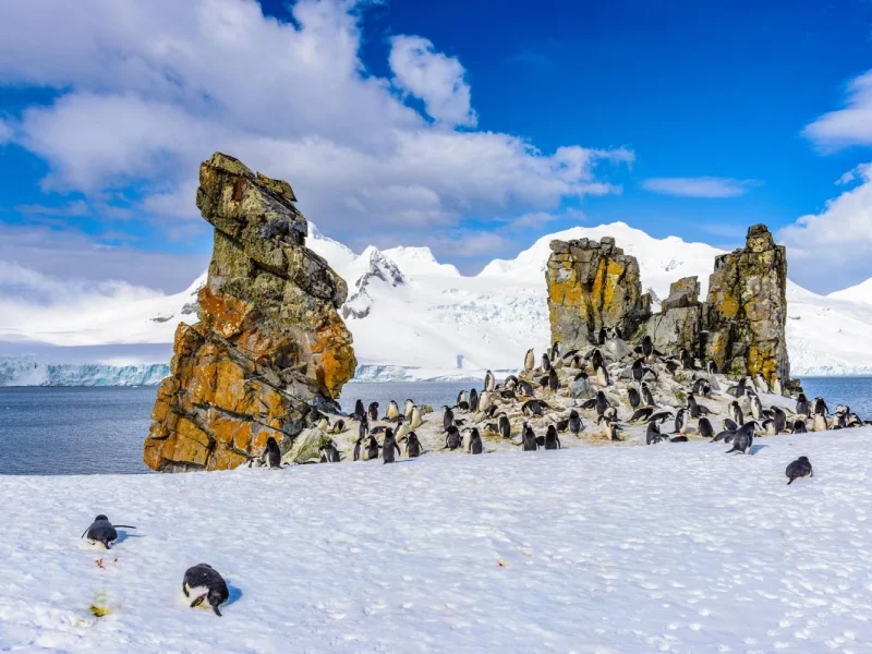 Busreise Polarlichter im winterlichen Schottland